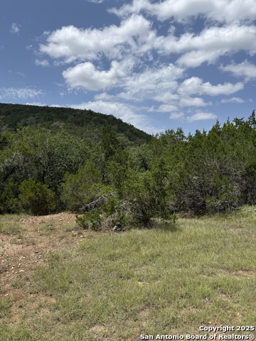 159 Valley Vista, Tarpley, Texas image 10