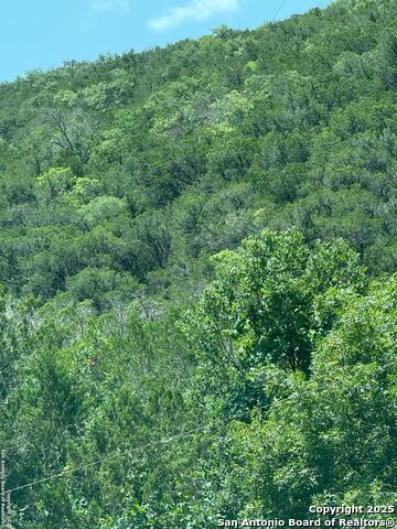 159 Valley Vista, Tarpley, Texas image 11
