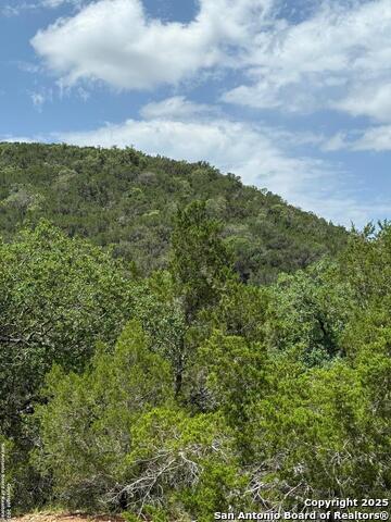 159 Valley Vista, Tarpley, Texas image 12