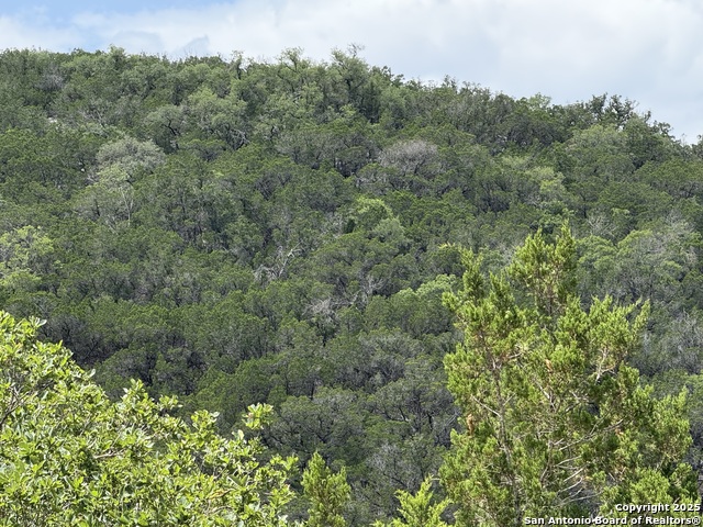159 Valley Vista, Tarpley, Texas image 13