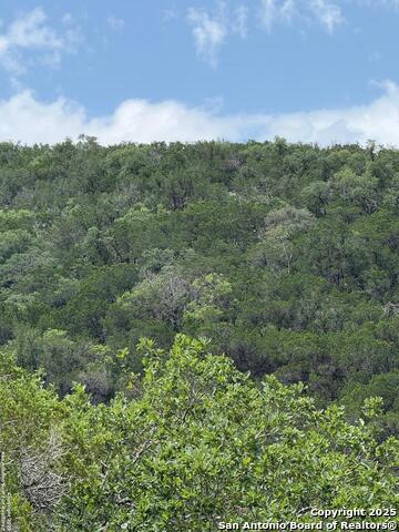 159 Valley Vista, Tarpley, Texas image 15