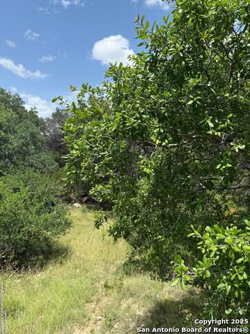 159 Valley Vista, Tarpley, Texas image 17
