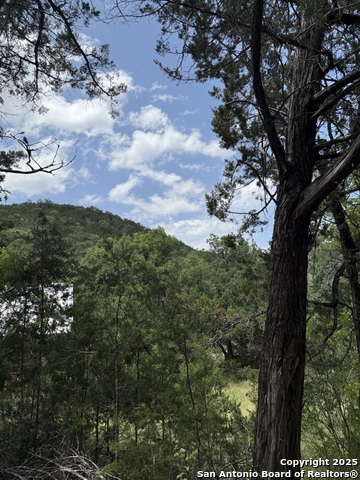 159 Valley Vista, Tarpley, Texas image 19