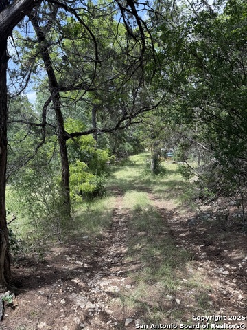 159 Valley Vista, Tarpley, Texas image 3