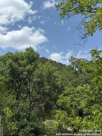 159 Valley Vista, Tarpley, Texas image 4