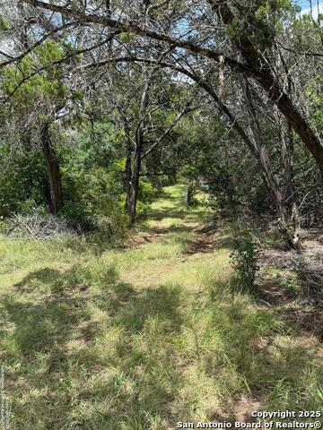 159 Valley Vista, Tarpley, Texas image 6