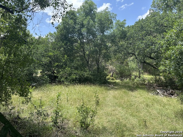 159 Valley Vista, Tarpley, Texas image 7