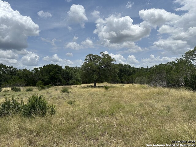 571 Rayner Ranch, Spring Branch, Texas image 1