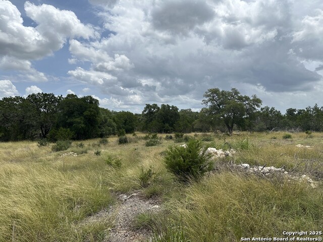 571 Rayner Ranch, Spring Branch, Texas image 11