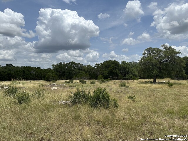 571 Rayner Ranch, Spring Branch, Texas image 2