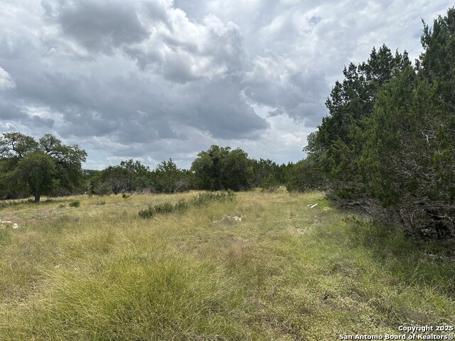 571 Rayner Ranch, Spring Branch, Texas image 6