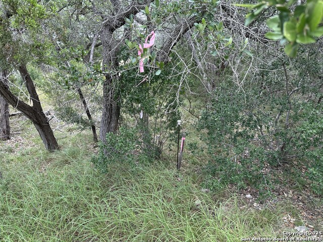 571 Rayner Ranch, Spring Branch, Texas image 7