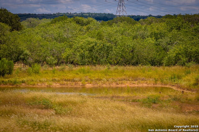 451 Rawhide, Seguin, Texas image 35