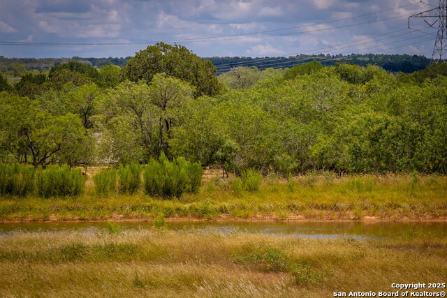 451 Rawhide, Seguin, Texas image 36