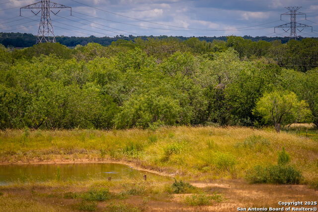451 Rawhide, Seguin, Texas image 38