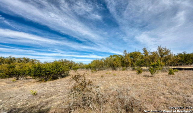 106 Gregorio Garcia, Blanco, Texas image 1