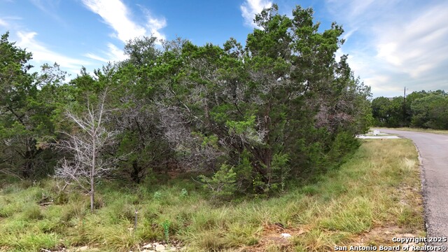 1418 Cedar Grove Trail, Spring Branch, Texas image 14