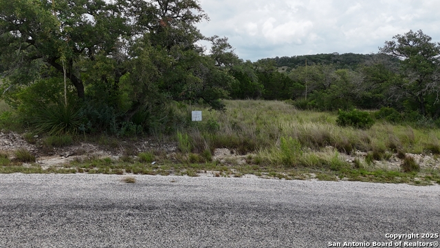 LOT 7 Canyon Creek Preserve, Helotes, Texas image 13