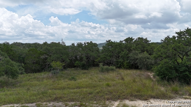 LOT 7 Canyon Creek Preserve, Helotes, Texas image 18