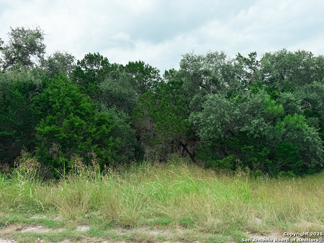 114 County Road 2475, Hondo, Texas image 1