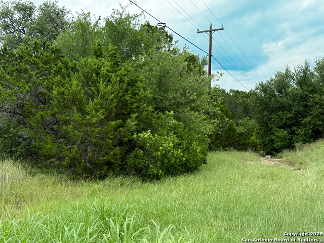 114 County Road 2475, Hondo, Texas image 2