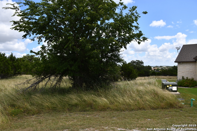 107 Silas Parker, Blanco, Texas image 1