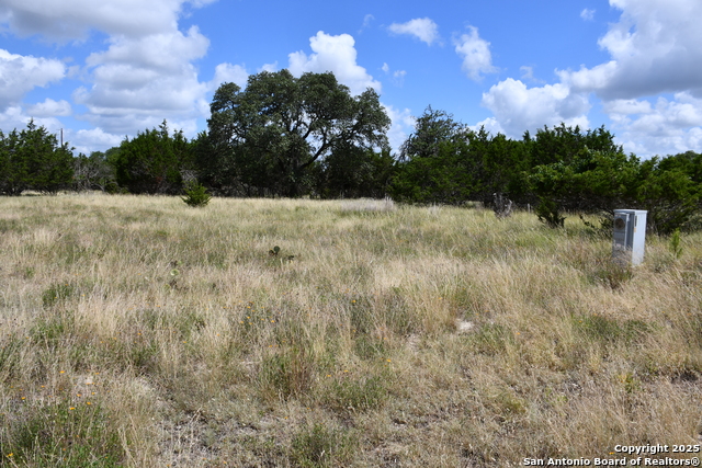 107 Silas Parker, Blanco, Texas image 4