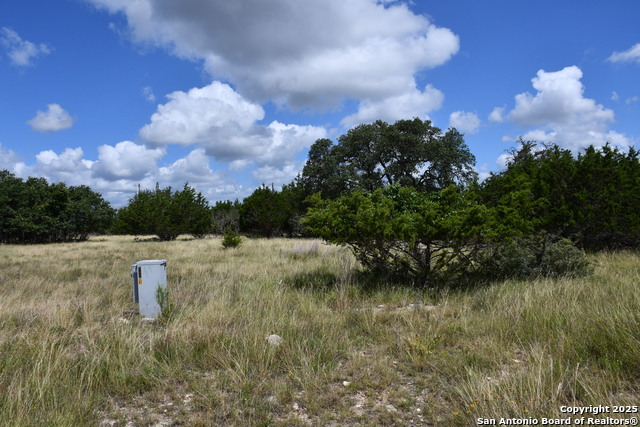 107 Silas Parker, Blanco, Texas image 5