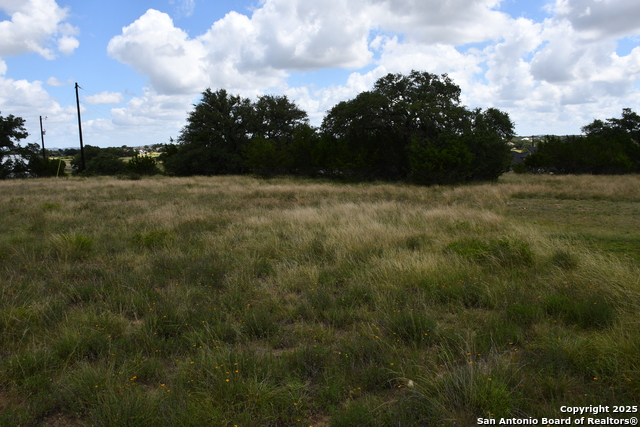 107 Silas Parker, Blanco, Texas image 6