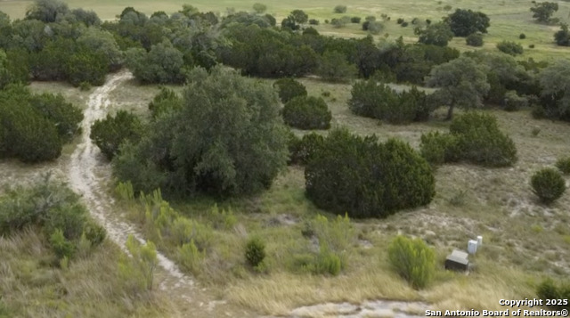 513 Gray Fox, Spring Branch, Texas image 5