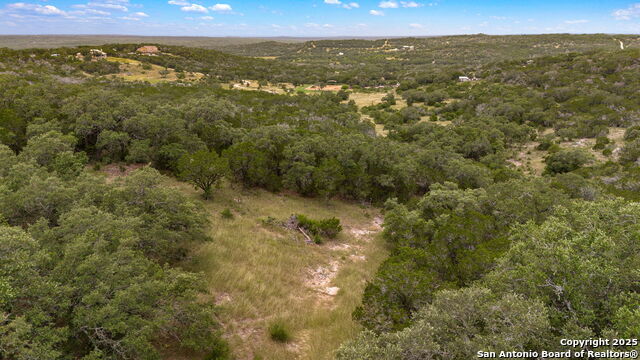 LOT 15 County Road 368, Mico, Texas image 15