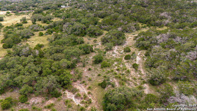 LOT 15 County Road 368, Mico, Texas image 17