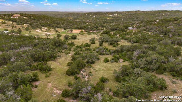 LOT 15 County Road 368, Mico, Texas image 18