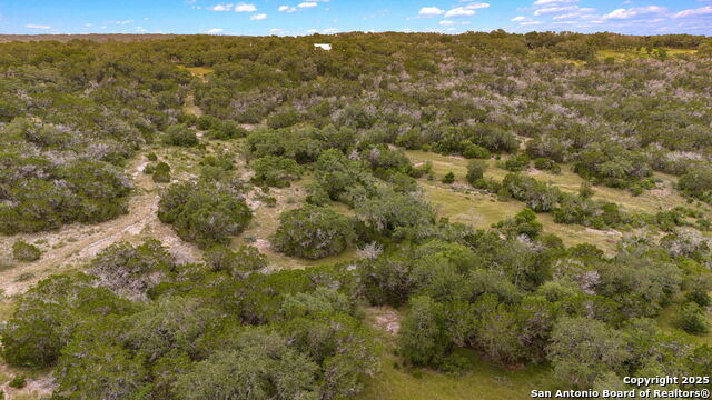 LOT 15 County Road 368, Mico, Texas image 19