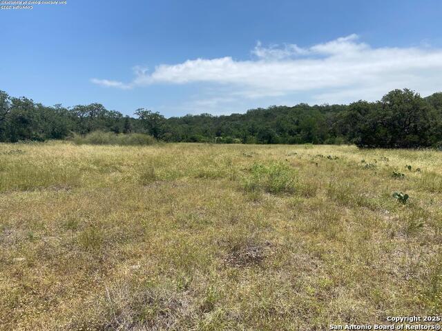 LOT 15 County Road 368, Mico, Texas image 20