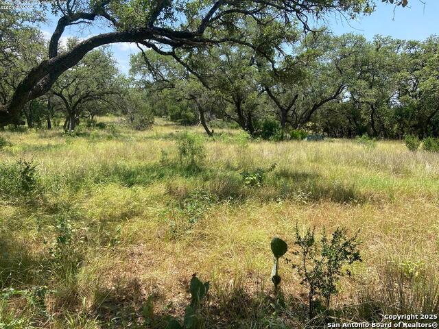 LOT 15 County Road 368, Mico, Texas image 23