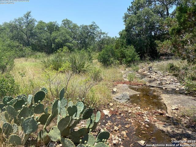 LOT 15 County Road 368, Mico, Texas image 24