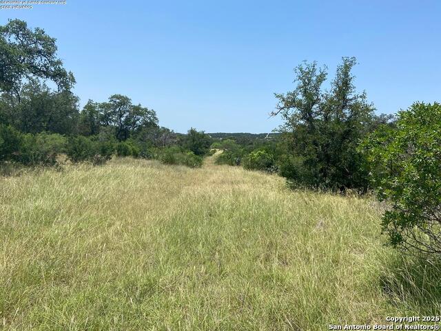 LOT 15 County Road 368, Mico, Texas image 25