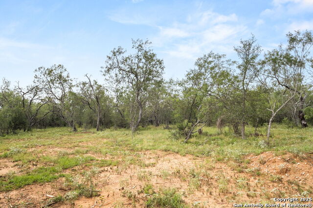 11682 Fm 466, Seguin, Texas image 11