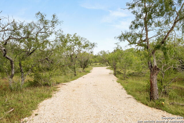 11682 Fm 466, Seguin, Texas image 2