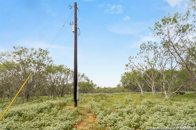 11682 Fm 466, Seguin, Texas image 7
