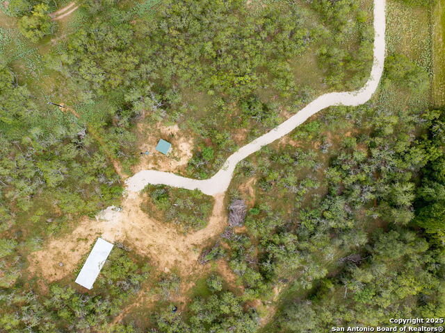 11682 Fm 466, Seguin, Texas image 8