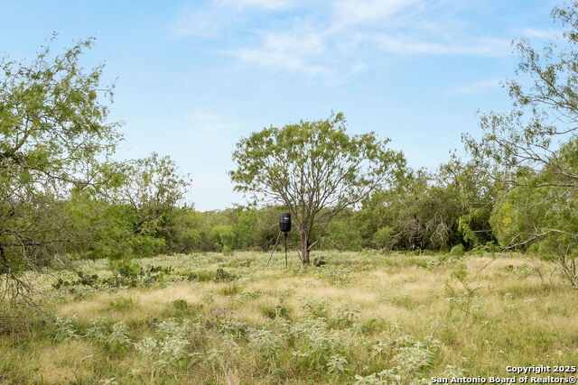3141 Zion Hill, Seguin, Texas image 11