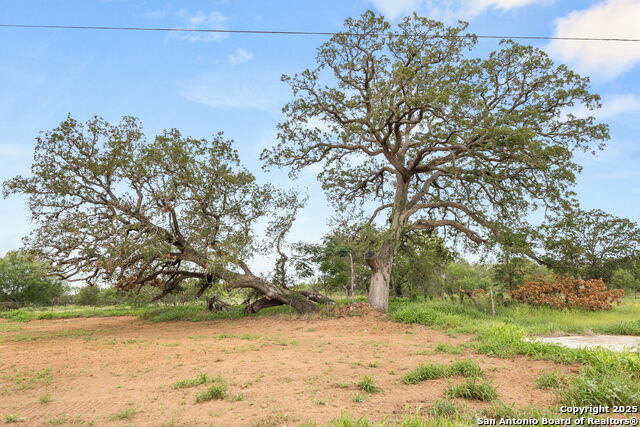 3141 Zion Hill, Seguin, Texas image 15