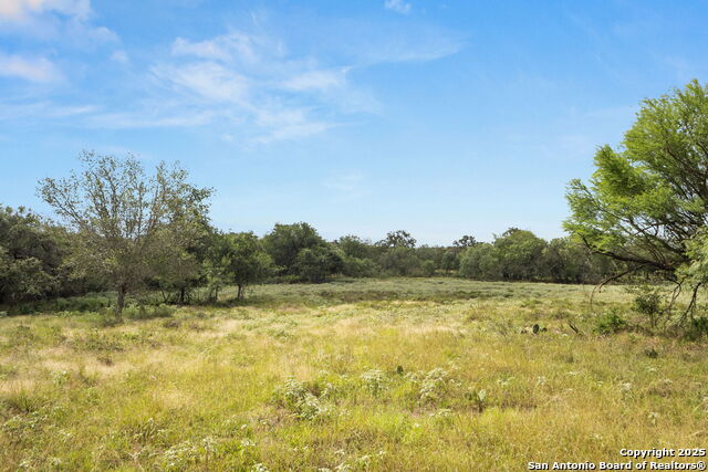 3141 Zion Hill, Seguin, Texas image 16