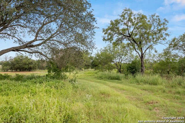 3141 Zion Hill, Seguin, Texas image 2