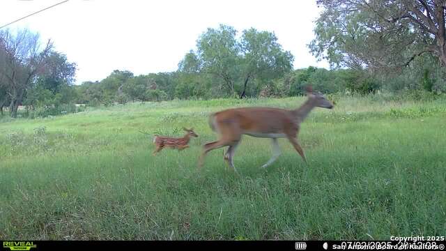 3141 Zion Hill, Seguin, Texas image 28
