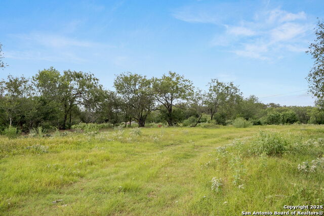 3141 Zion Hill, Seguin, Texas image 3