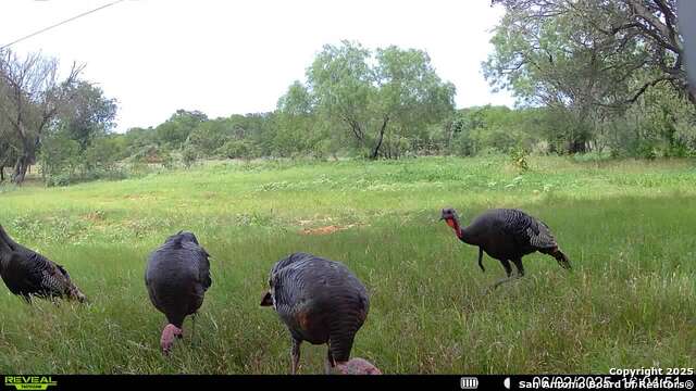3141 Zion Hill, Seguin, Texas image 30
