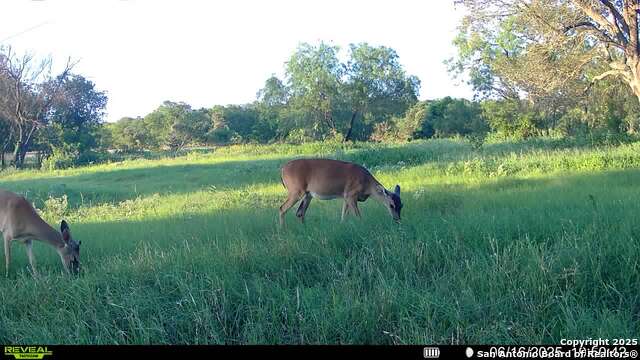 3141 Zion Hill, Seguin, Texas image 32